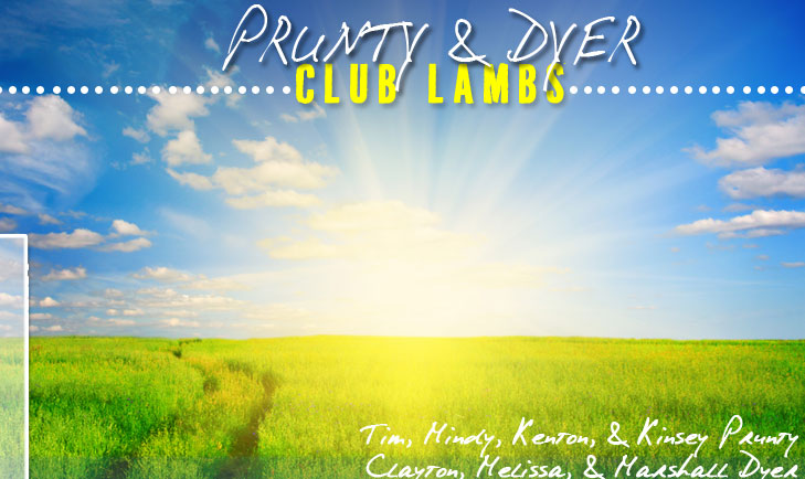 Prunty & Dyer Club Lambs