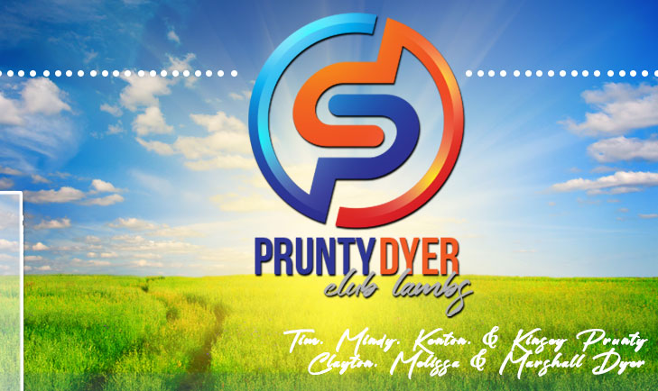Prunty & Dyer Club Lambs