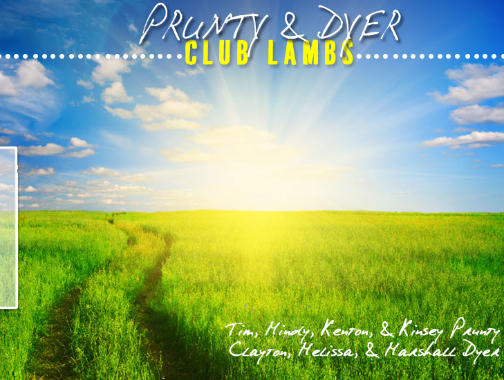 Prunty & Dyer Club Lambs